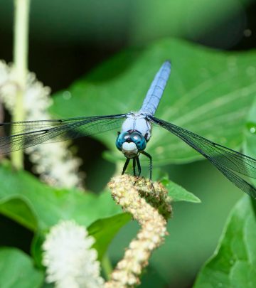 pexels-pete-weiler-784399974-26595676