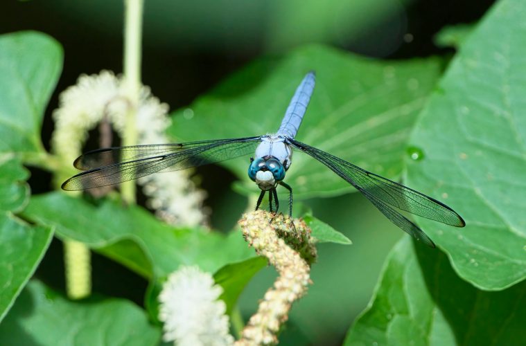 pexels-pete-weiler-784399974-26595676