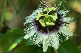 pexels-saturnus99-18122074