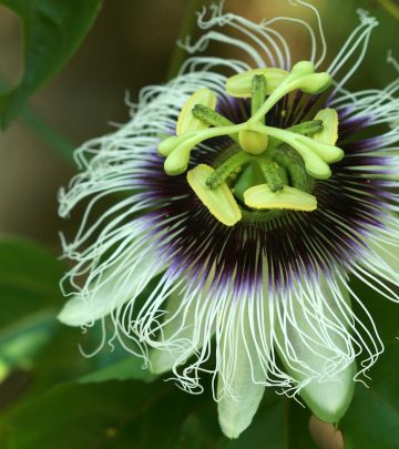 pexels-saturnus99-18122074