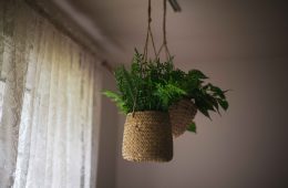 christian-mack-C_8kcroU9Ig-unsplash (1)