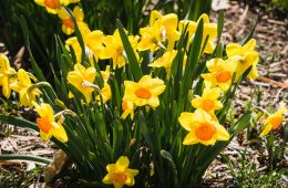 jeffrey-hamilton-g-5slWeTxxU-unsplash copy