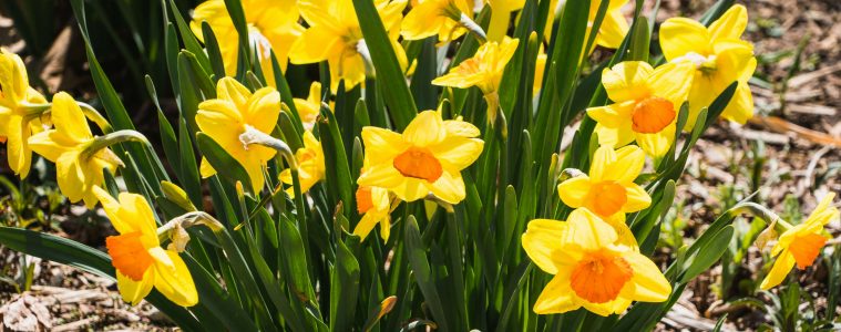 jeffrey-hamilton-g-5slWeTxxU-unsplash copy