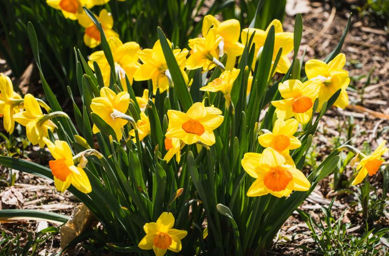 jeffrey-hamilton-g-5slWeTxxU-unsplash copy