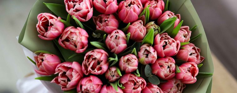 julia-char-2uKDlzWJLns-unsplash copy