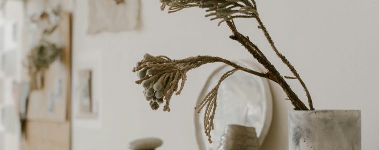 pexels-cottonbro-6739236