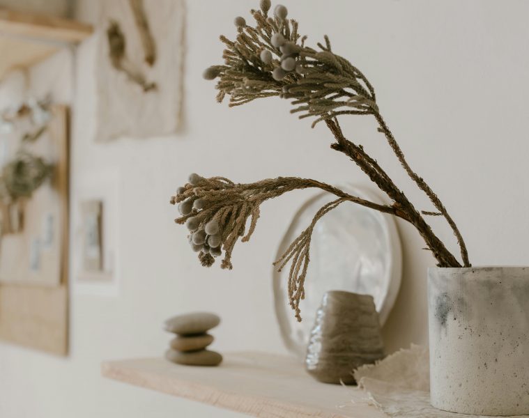 pexels-cottonbro-6739236