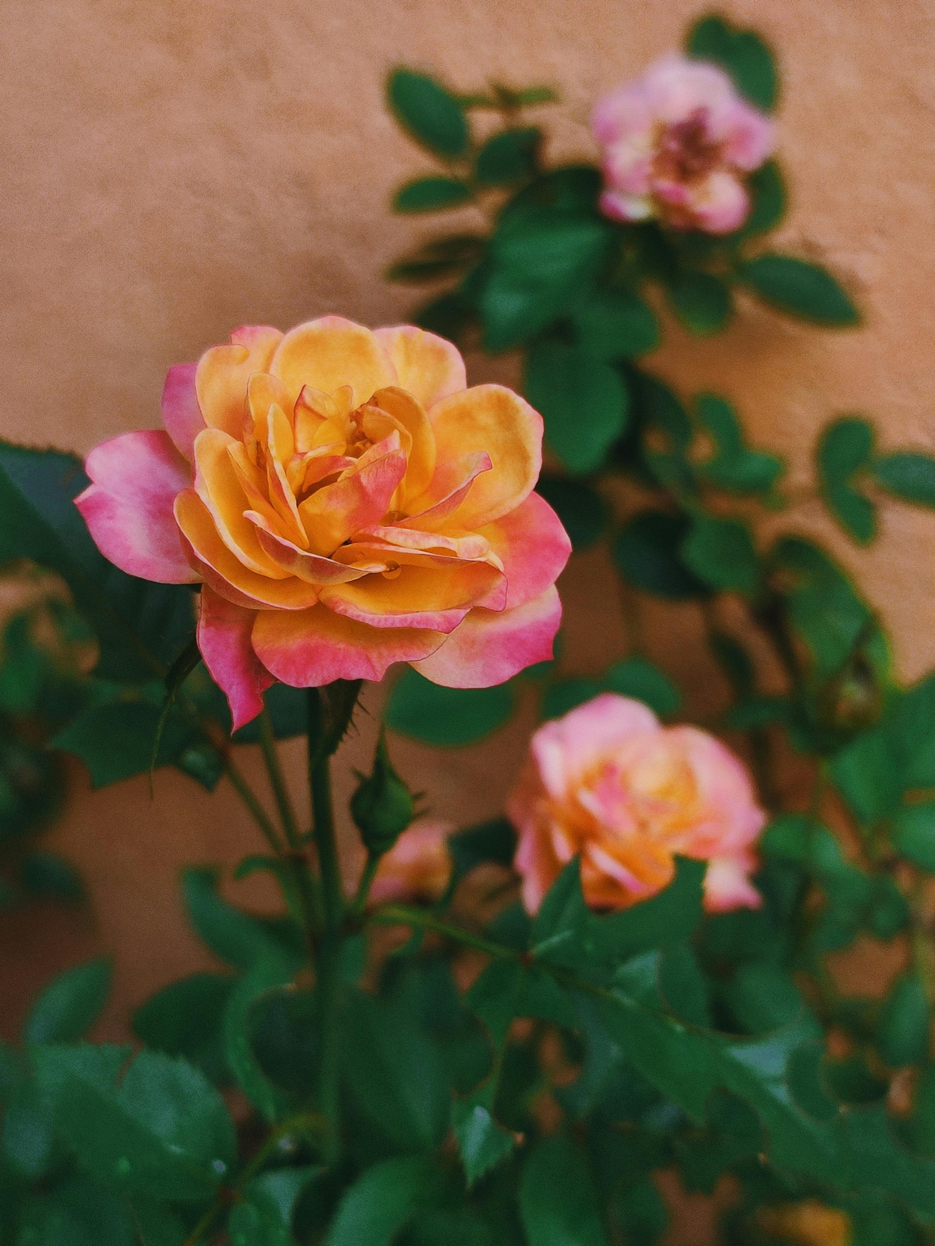 pexels-dfntion-9343601