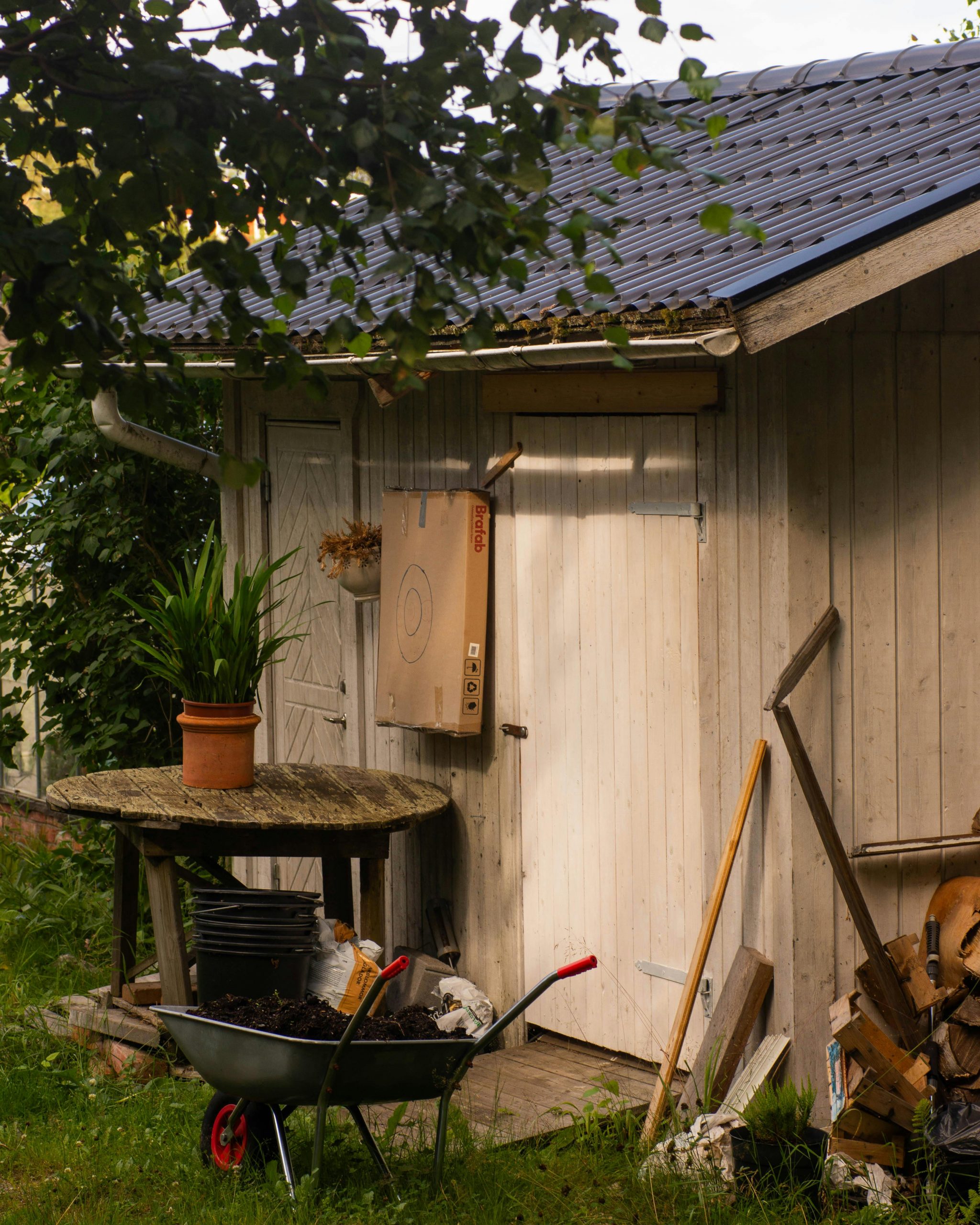 pexels-imagebyhala-33363961