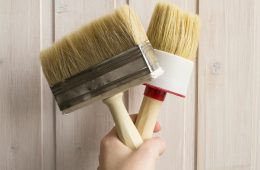 pexels-maria-mileta-3563033-5357161