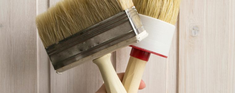 pexels-maria-mileta-3563033-5357161