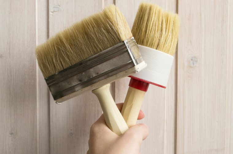 pexels-maria-mileta-3563033-5357161