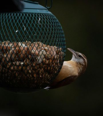 pexels-nord6-10688827