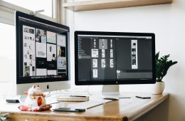 pexels-tranmautritam-326501