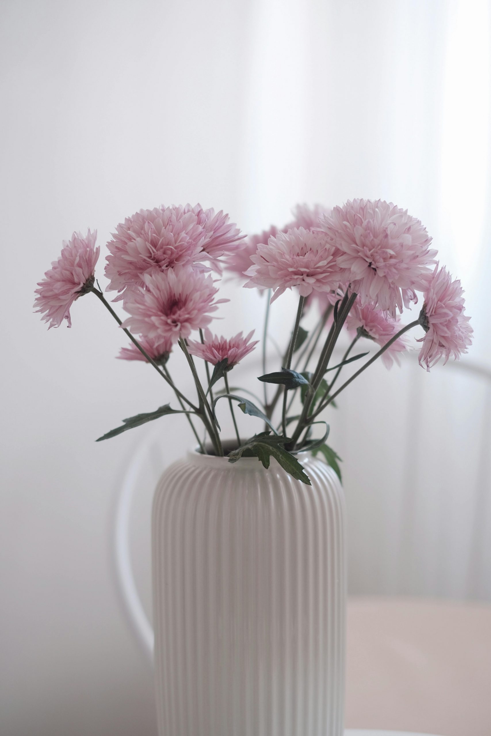 pexels-wbusraca-30600090