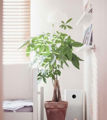 sang-lee-B0J0zUd4YPY-unsplash copy