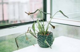 gettyimages-1496834689-612x612