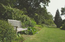 pexels-creative-vix-7294