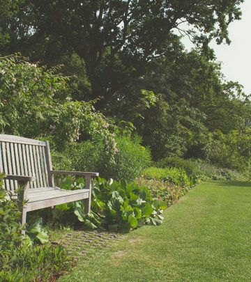 pexels-creative-vix-7294