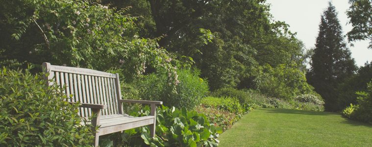 pexels-creative-vix-7294