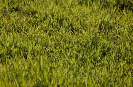 pexels-enginakyurt-7227912 copy 2