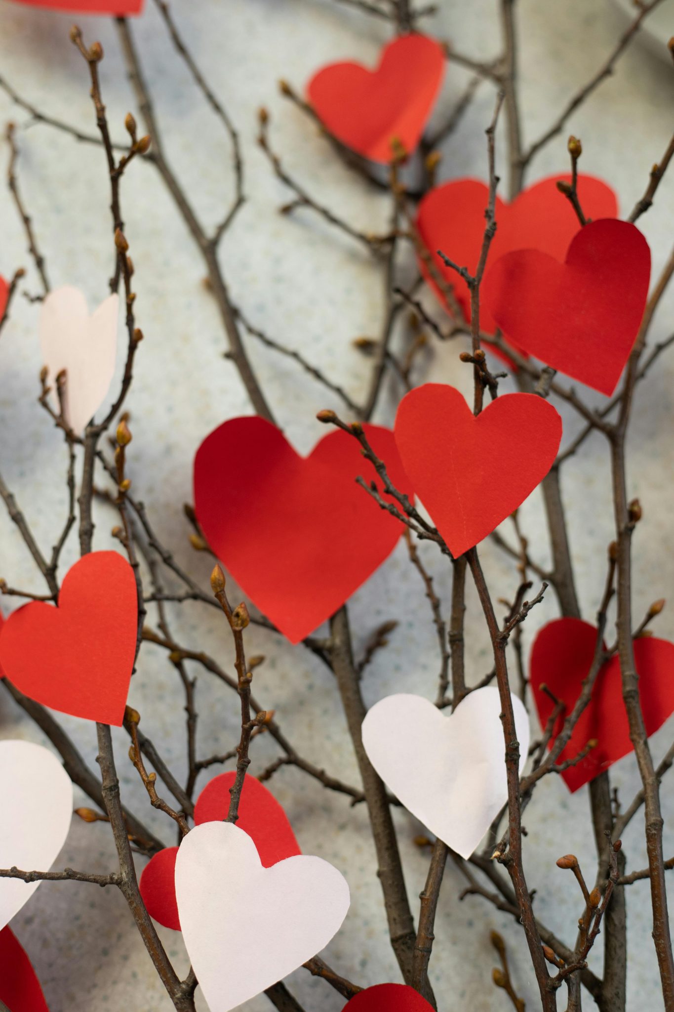 Our favourite D.I.Y Valentine’s Day decor trends right now | SA Garden ...