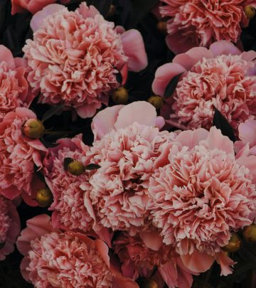 pexels-iriser-1158961