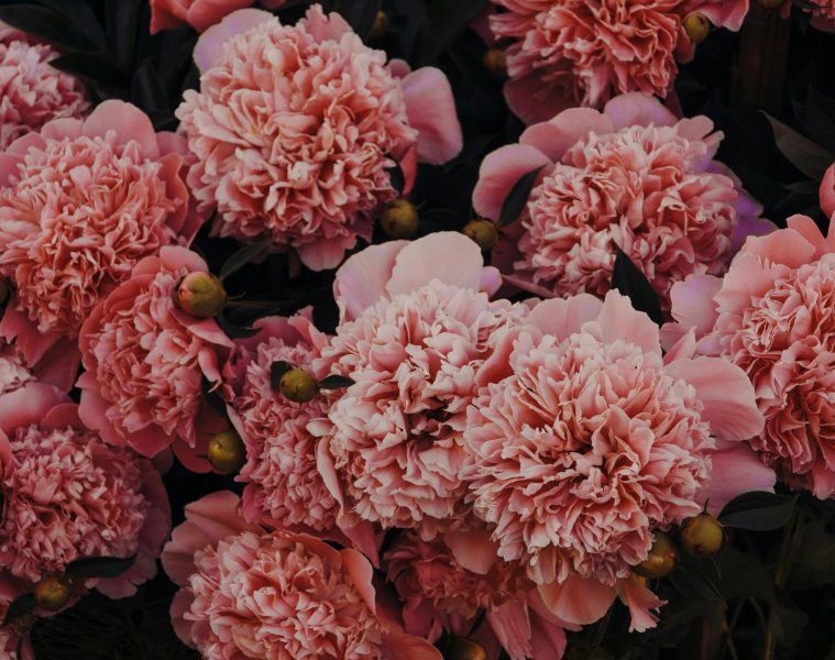 pexels-iriser-1158961