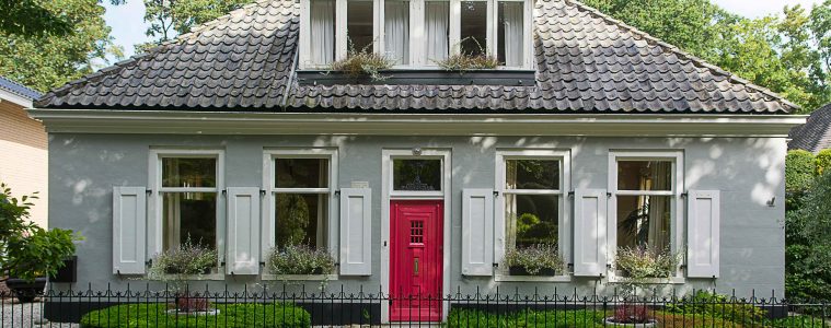 pexels-jan-van-der-wolf-11680885-10553915 copy