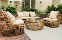 pexels-kimymoto-27975920