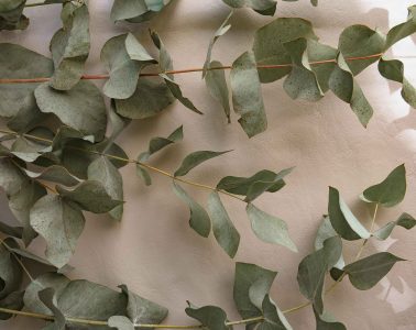 pexels-kristina-gain-1950685-5247840 copy