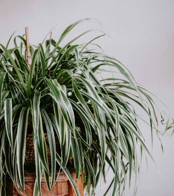 pexels-matreding-11363314 copy