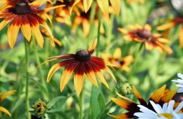 pexels-ventill8-productions-3270833-8642820