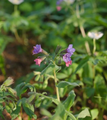 andrew-6yqcpaa0HrE-unsplash (1)