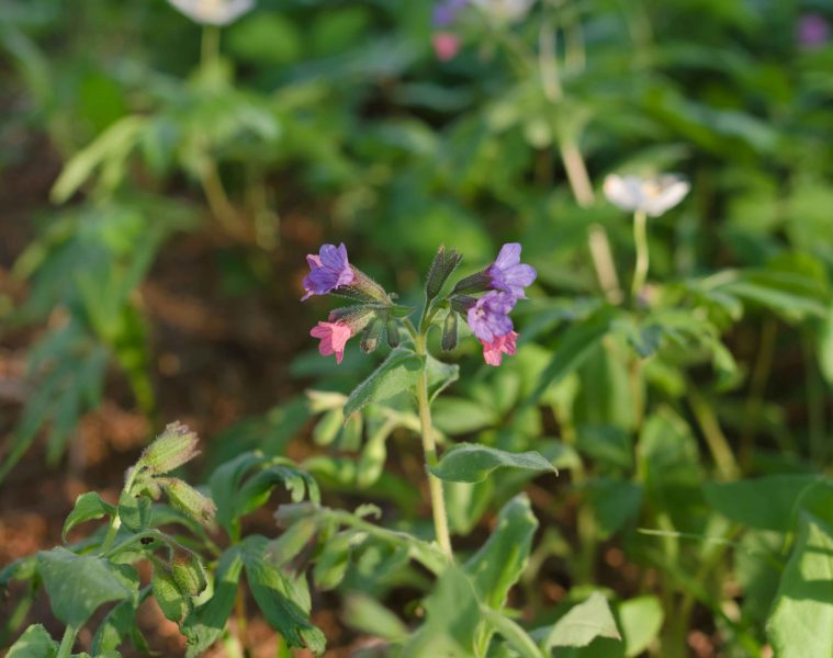 andrew-6yqcpaa0HrE-unsplash (1)