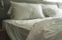 pexels-castorlystock-3755590 copy