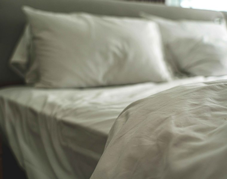 pexels-castorlystock-3755590 copy