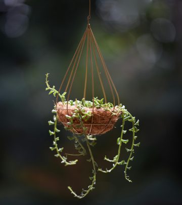 pexels-chappie-3923162-12899425