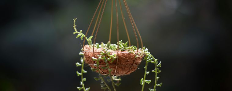 pexels-chappie-3923162-12899425