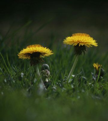 pexels-creative-gaze-50264454-7903920