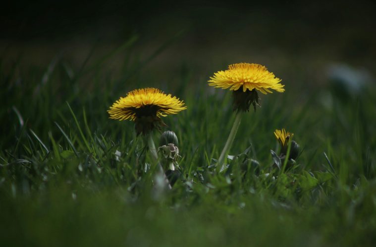 pexels-creative-gaze-50264454-7903920