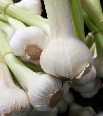 pexels-enginakyurt-2920402 (1)