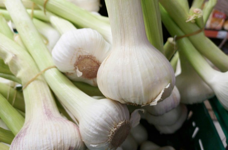 pexels-enginakyurt-2920402 (1)