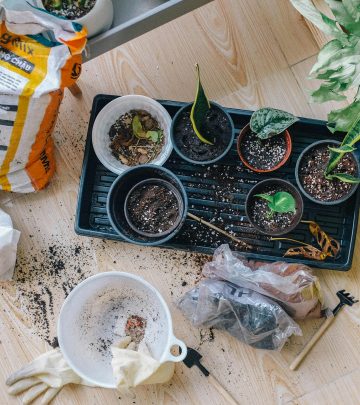 pexels-huy-phan-316220-2987081