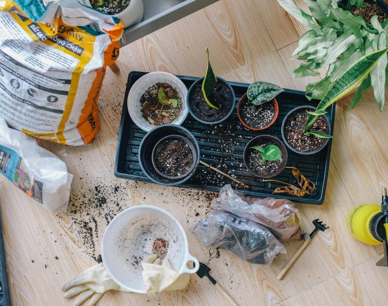 pexels-huy-phan-316220-2987081