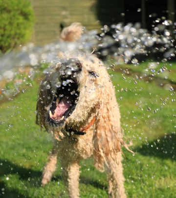 pexels-jack-geo-1044056