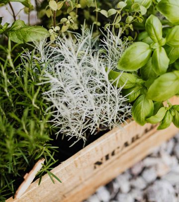 pexels-karola-g-4750311 copy