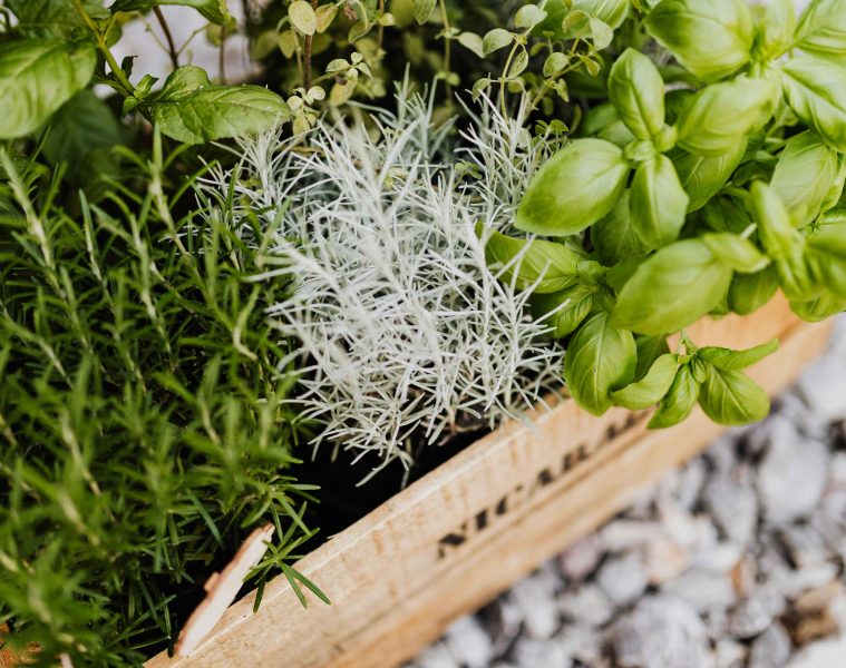 pexels-karola-g-4750311 copy