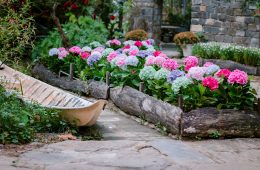 pexels-nguy-n-ti-n-th-nh-2150376175-36338272 copy