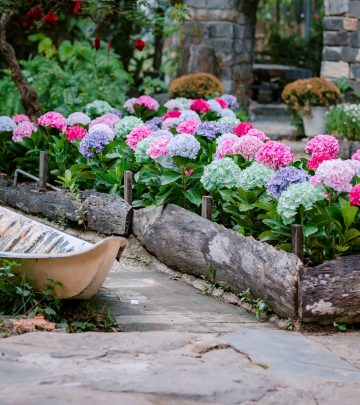 pexels-nguy-n-ti-n-th-nh-2150376175-36338272 copy